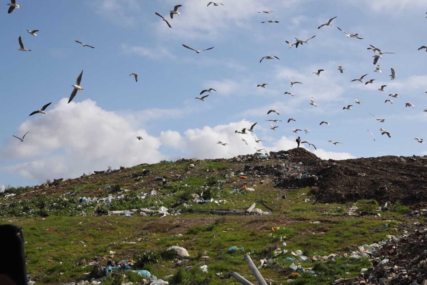 Textured geomembranes enhance landfill design by improving slope stability and interface shear strength.