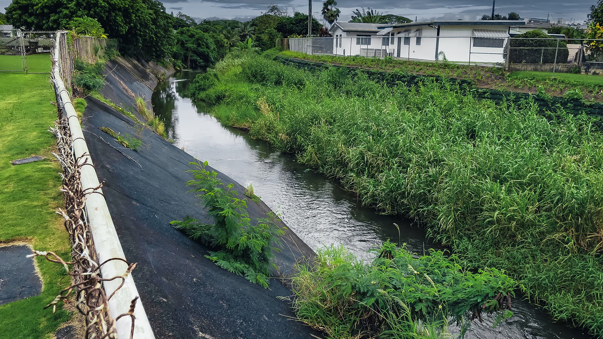 Hawaii's Kaneohe Stream stabilization project used PROPEX Pyrawall, a natural, vegetated solution, to protect properties and prevent flooding for up to 75 years.