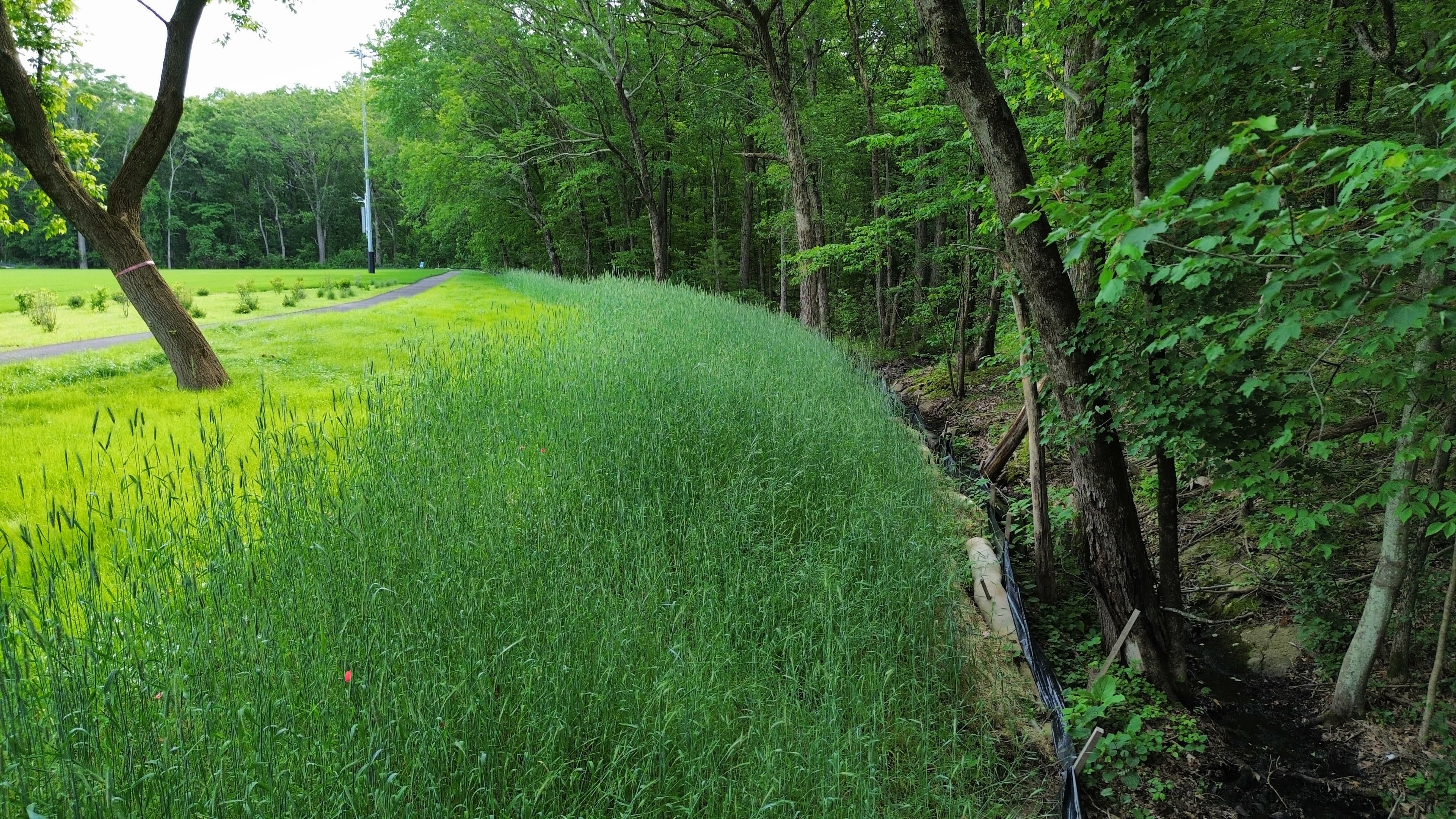 Earth anchors were driven through the PROPEX Armormax to lock the soil in place.