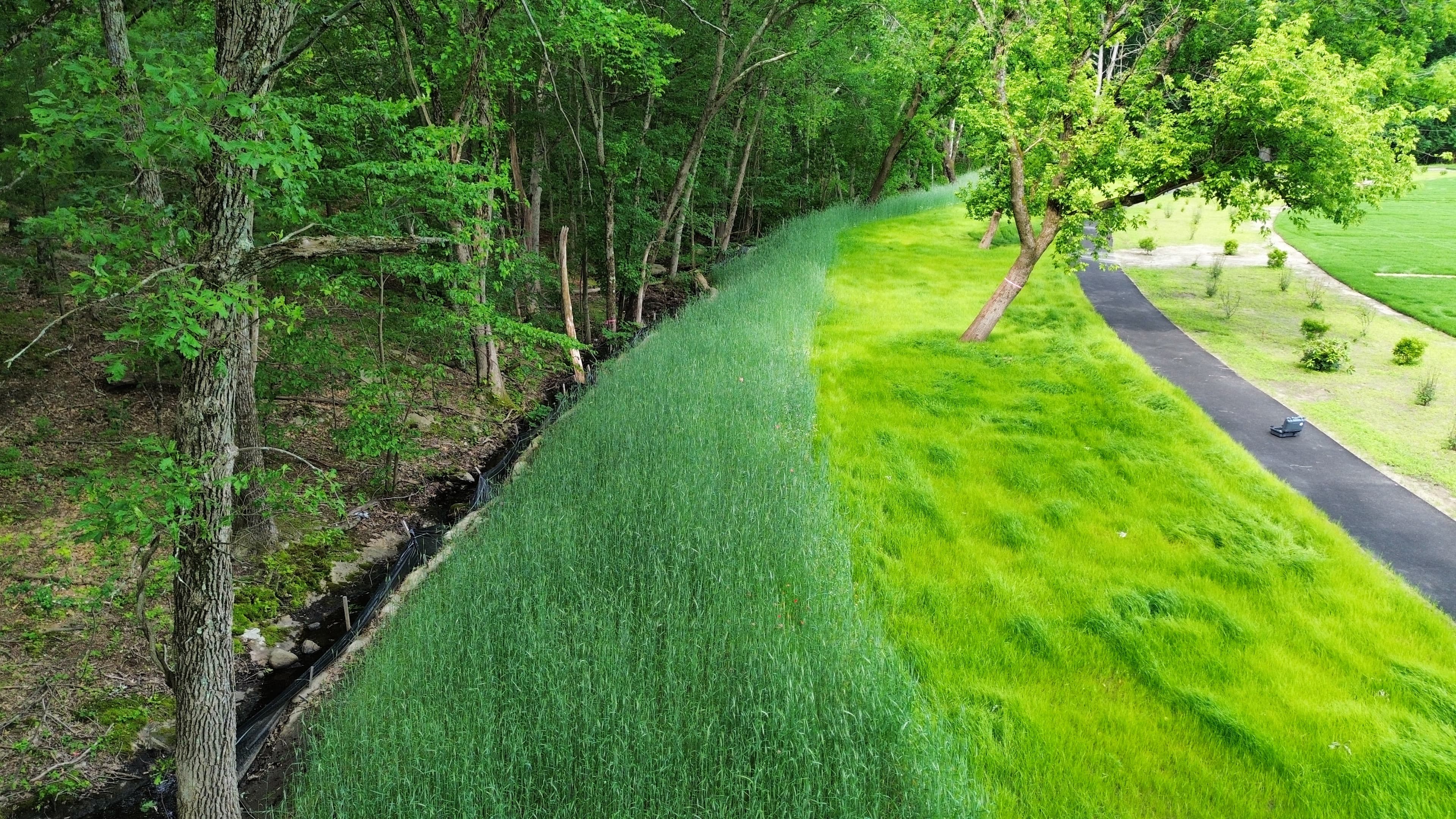 The reinforced slope was hydroseeded to promote rapid vegetation growth.